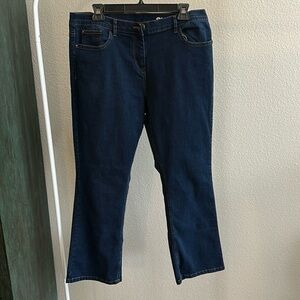 Blue Jeans Collection sz 12s Stretchy Jeans
